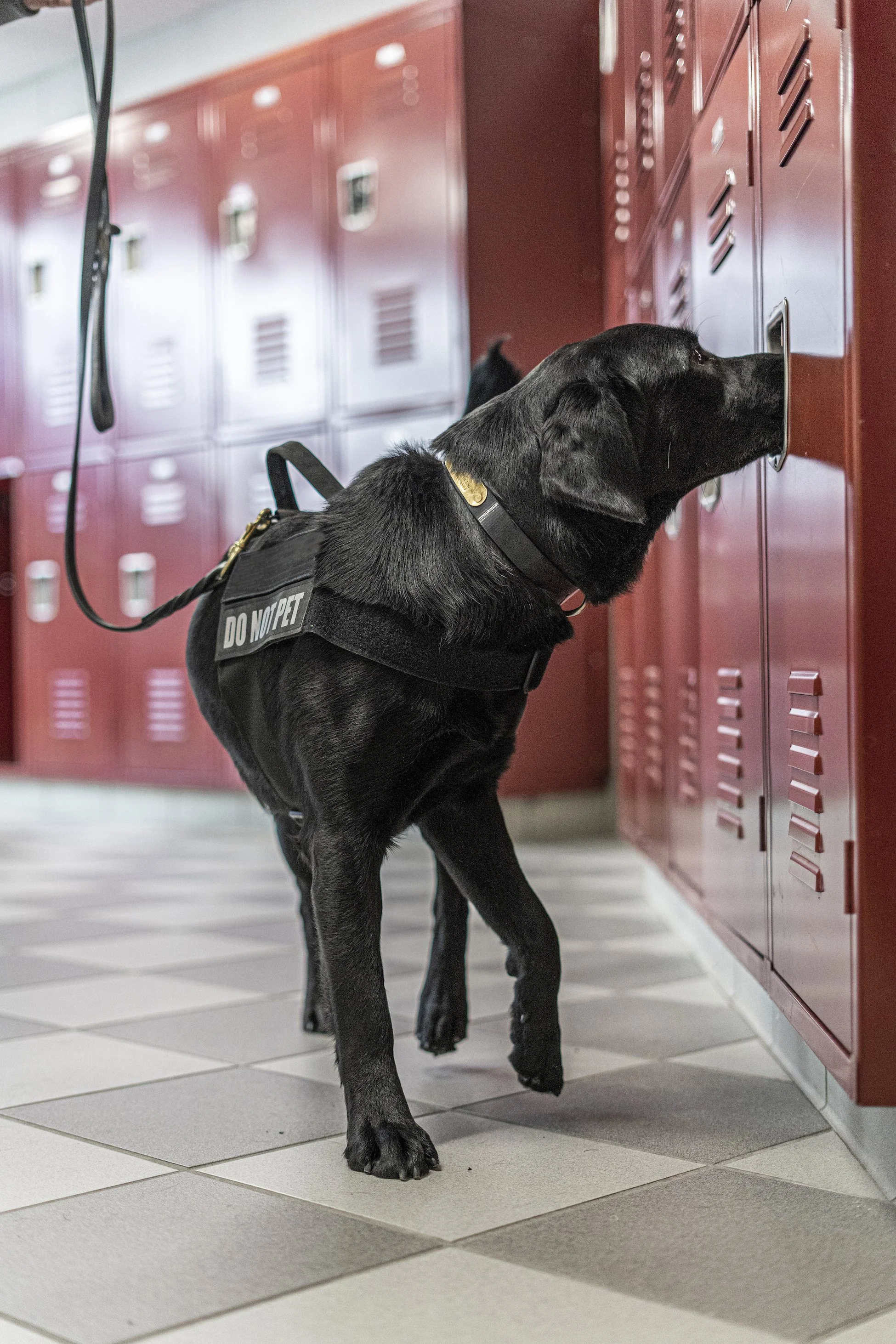 Contact — Zebra K9 Advanced Security Services